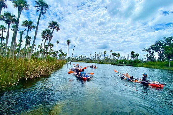 Clear Kayak Tours in Weeki Wachee - The Wildlife and Landscape