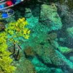 Clear Kayaking Eco Adventure Tour in Marianna - The Stops in Detail