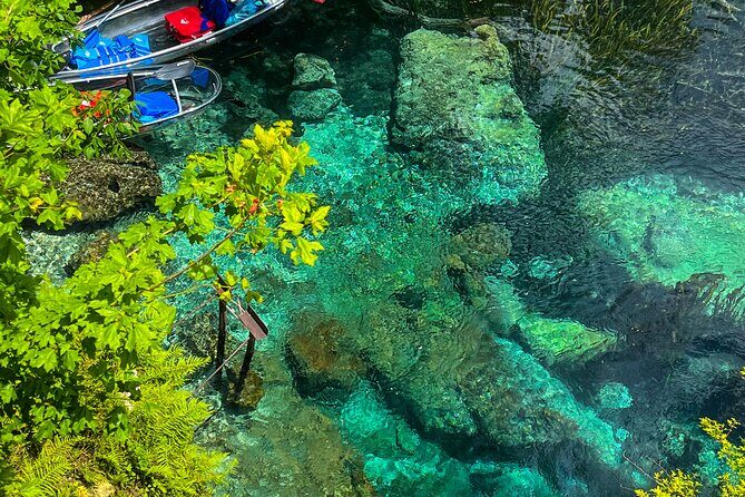 Clear Kayaking Eco Adventure Tour in Marianna - The Stops in Detail