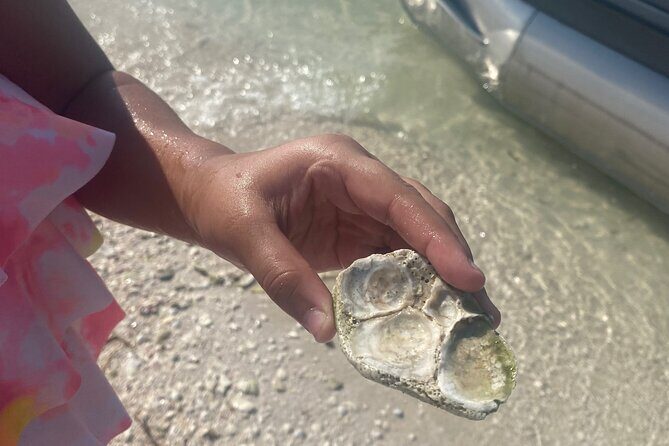 Clearwater Beach Pontoon Tours - FAQ