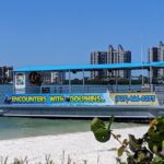 Clearwater Encounters with Dolphins Tour - The Value and What It Means for You