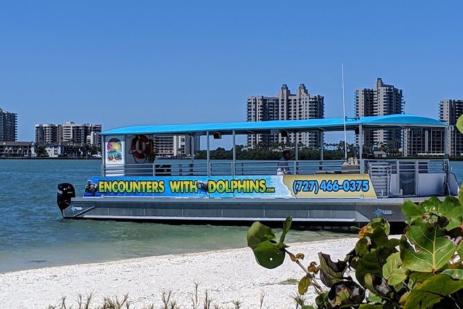 Clearwater Encounters with Dolphins Tour - The Value and What It Means for You