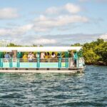 Clearwater Island Hop and Dolphin Watch with Swimming - What Travelers Love About This Tour