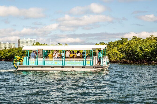 Clearwater Island Hop and Dolphin Watch with Swimming - What Travelers Love About This Tour