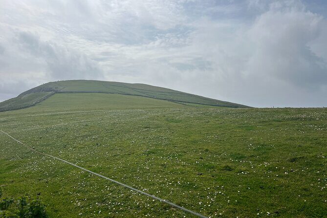Cliffs of Moher Private Tour from Killarney - Who Should Consider This Tour?
