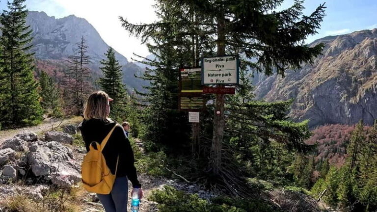 Climbing Mount Magli: Visit to Trnovako lake - The Journey to Mount Magli: What to Expect