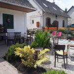 Close to Budapest:Wine Tasting in a Small Cozy Family Winery - What to Expect from the Tour