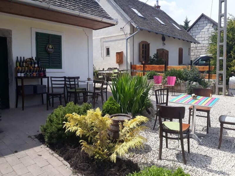 Close to Budapest:Wine Tasting in a Small Cozy Family Winery - What to Expect from the Tour