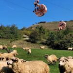 Cluj: Outdoor Activities Day Trip with Zip Line and Hike - Is It Worth the Price?