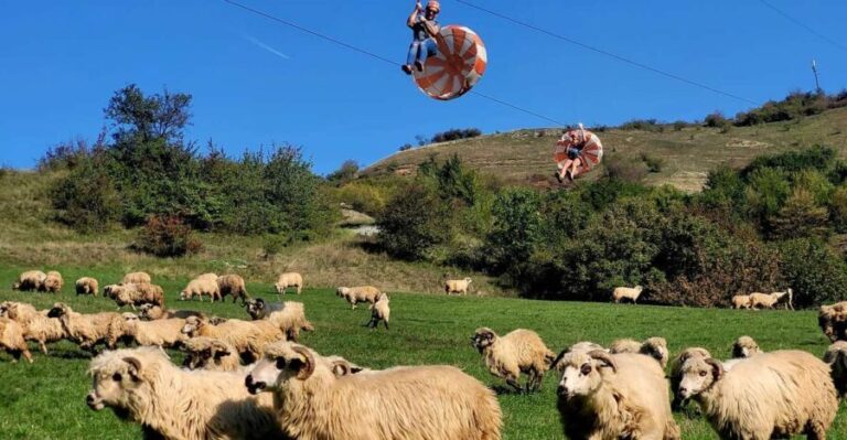 Cluj: Outdoor Activities Day Trip with Zip Line and Hike - Is It Worth the Price?