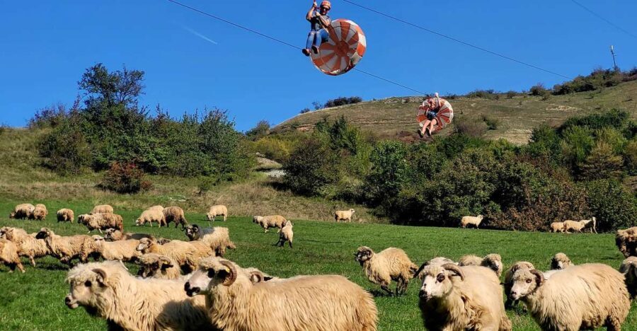Cluj: Outdoor Activities Day Trip with Zip Line and Hike - Is It Worth the Price?