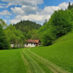 Cluj to Rosia: Day Trip to Ferrata and pittoresque country - Final Thoughts: Is This Tour for You?