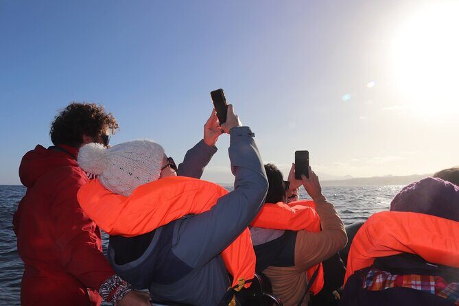 Coastal boat tour in Ribeira Grande and Porto Formoso - Final Thoughts