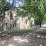 Cobblestones Tour Pamplona: Immersive Walking Tour in English - What to Expect on the Tour