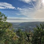 Cochem, Moselle: Wine experience hike with boat trip - Price and Value