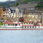 Cochem: Panoramic Cruise on the Moselle River - The Experience from the Reviews