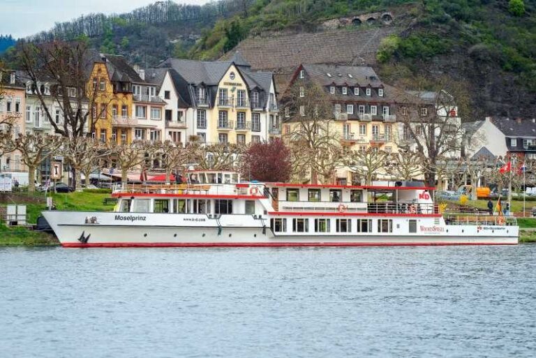 Cochem: Panoramic Cruise on the Moselle River - The Experience from the Reviews