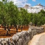 Cocktoil Experience: immerse yourself in a journey dedicated to alcohol! - What is the Cocktoil Experience?