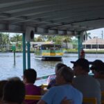 Cocoa Beach Dolphin Tours on the Banana River - What Are the Downsides?