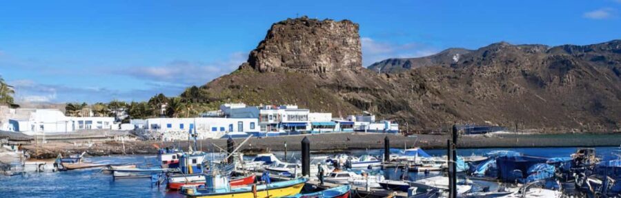 Coffee Route: Moya, Gáldar, and Puerto de las Nieves with a coffee tasting - Price and Value