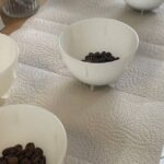 Coffee Sensory Training in Ljubljana - Pricing & Value