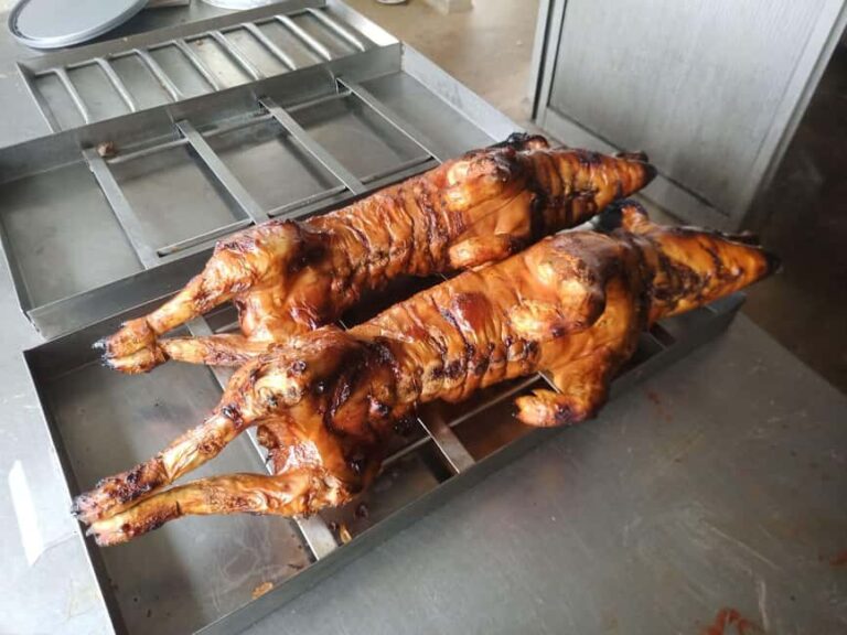 Coimbra: Bairrada Food Tour - Final Thoughts