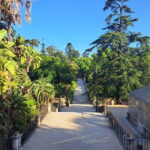 Coimbra Botanical Garden Tour: Storytelling Through Nature - Final Thoughts