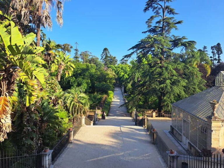 Coimbra Botanical Garden Tour: Storytelling Through Nature - Final Thoughts