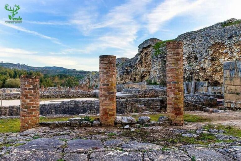 Coimbra: Conimbriga Ruins and Roman Heritage Tour - Practical Details: What to Expect and Tips