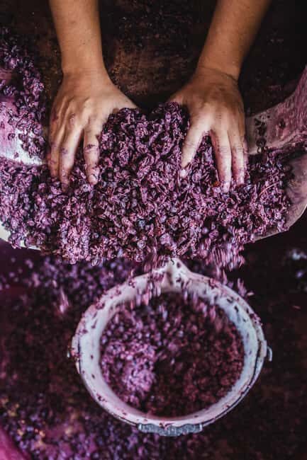 Col di Lamo Organic Boutique Classic Tour - Who Should Consider This Tour?