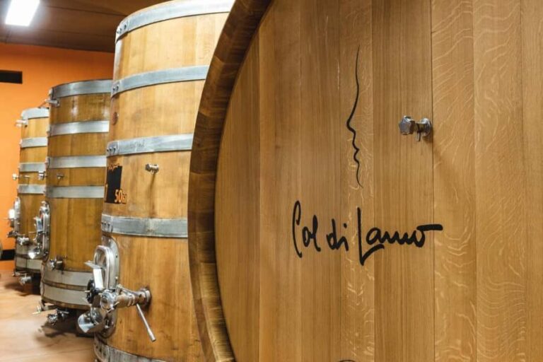 Col di Lamo Organic Boutique Vertical Experience - The Wine Tasting: Why It Matters