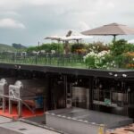 Colesel - winery visit and tasting in Valdobbiadene - What Travelers Say