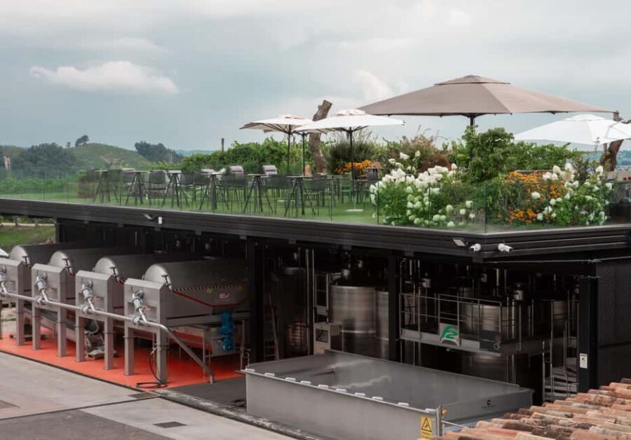 Colesel - winery visit and tasting in Valdobbiadene - What Travelers Say