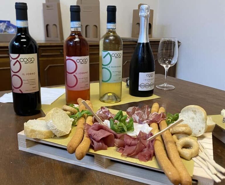 Colline Novaresi: Visit the vineyards, the winery, and enjoy a tasting - Key Points