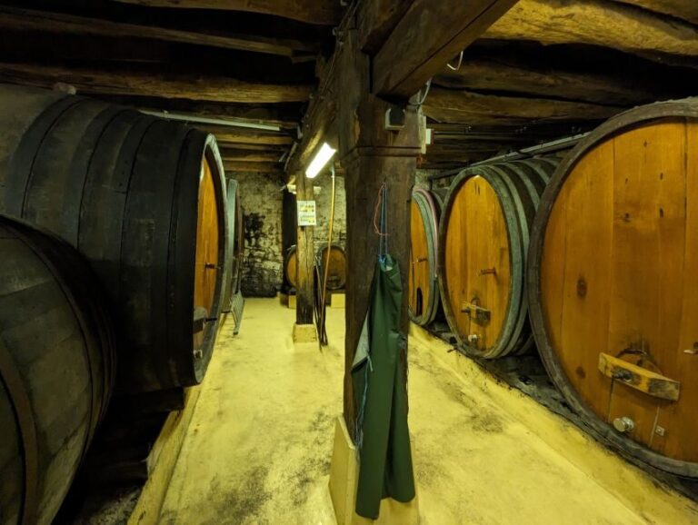 Colmar: Highlights Walking Tour and Wine Tasting - Who Would Love This Tour?