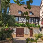 Colmar: Unusual Walking Tour with a local guide - Why This Tour Is Well Worth It
