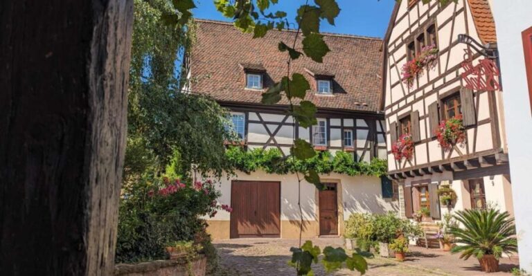 Colmar: Unusual Walking Tour with a local guide - Why This Tour Is Well Worth It