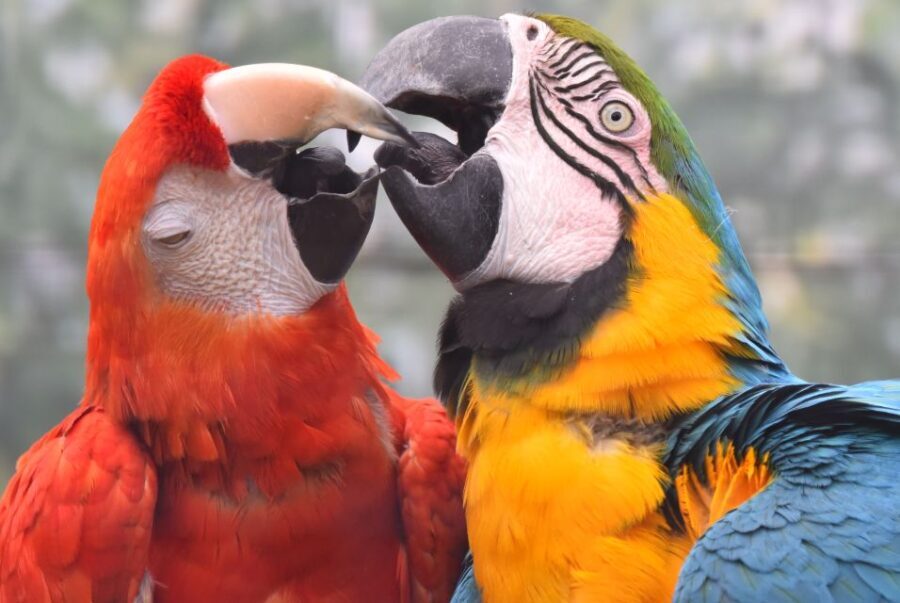 Cologne: Cologne Zoo and Aquarium Entry Ticket - The Experience Itself: What You’ll See and Do