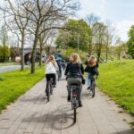 Cologne: Ehrenfeld Street Art Bike Tour - What Youll See and Do