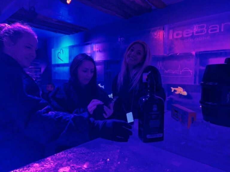Cologne: IceBar Entry Ticket with Drinks - Who Will Enjoy This?