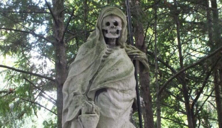 Cologne: Melaten Cemetery Life, Love and Death Tour - The Experience: What to Expect
