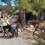 Colorado River Adrenaline RZR Tour from Las Vegas - Considerations Before Booking