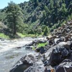 Colorado River Whitewater Rafting: Half Day Trip - The Cost and Value