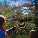 Colorado Springs Hands-On Falconry Class and Demonstration - How the Tour Is Structured