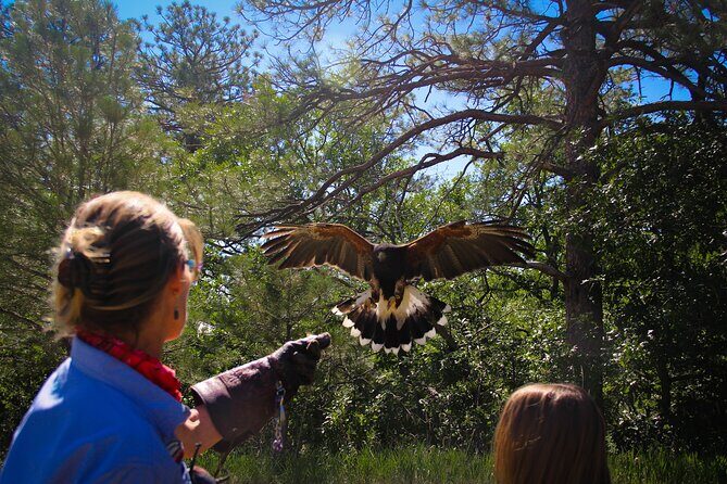 Colorado Springs Hands-On Falconry Class and Demonstration - How the Tour Is Structured