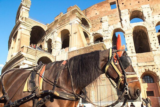 Colosseum Arena floor & Ancient Rome Tour for kids and Families - Walking Through Ancient Rome: The Roman Forum