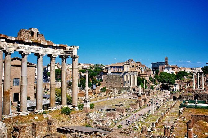 Colosseum with the arena, Roman Forum and Palatine Hill tour - Practical Details and Considerations