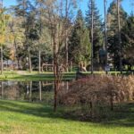 Comano Terme: Terme di Comano SPA Experience Ticket - Who Should Consider This Experience?