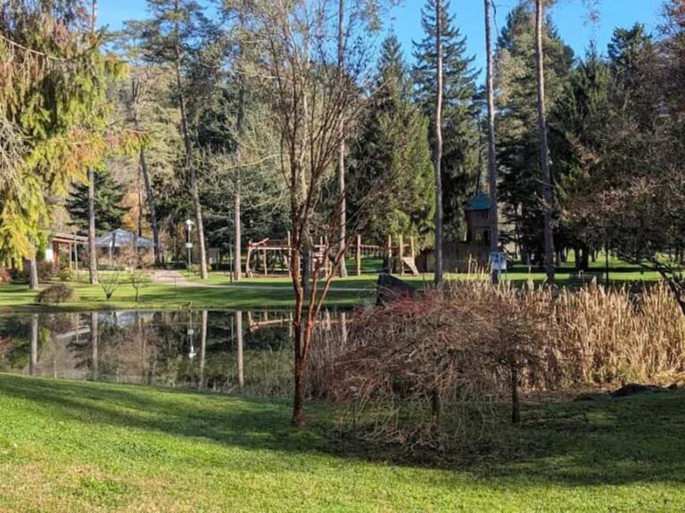 Comano Terme: Terme di Comano SPA Experience Ticket - Who Should Consider This Experience?