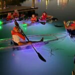 Comb Jelly Bioluminescence Clear Kayak Glow Tour - The Itinerary in Detail